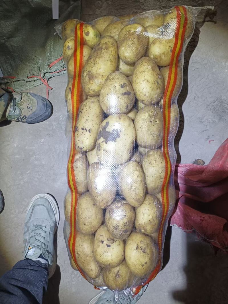 精品黄心土豆，真实价格保证不黑心