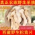 正宗野生松茸菇野生菌菇干货啊坝特产香格里拉松茸菌生鲜松茸