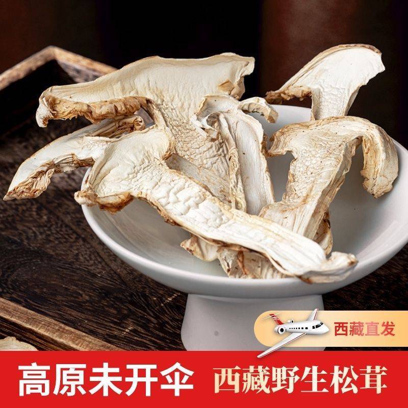正宗野生松茸菇野生菌菇干货啊坝特产香格里拉松茸菌生鲜松茸