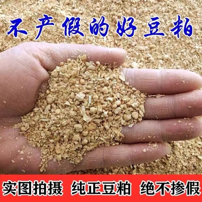 纯正豆粕养殖各类牲畜使用加工颗粒饲料等