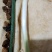 山东大煎饼