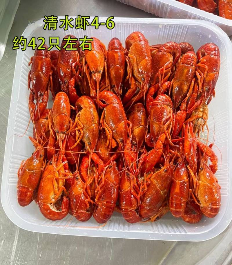 湖北洪湖市，2025年新货，液氮清水冻虾，大中小规格。