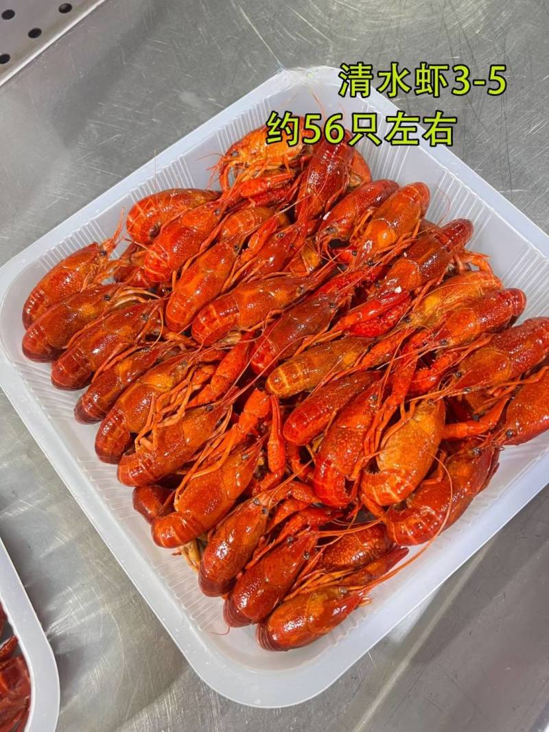 湖北洪湖市，2025年新货，液氮清水冻虾，大中小规格。