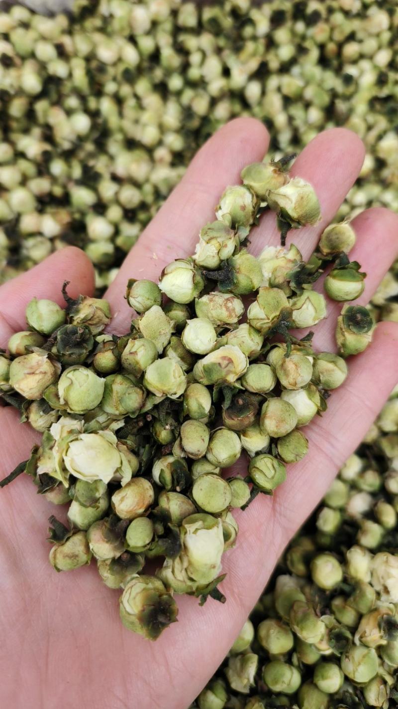 山茶花茶精选干山茶花云南白山茶花泡茶泡水山茶花干花产地直