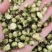 山茶花茶精选干山茶花云南白山茶花泡茶泡水山茶花干花产地直