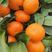 广西桂北金秋沙糖橘，代办、代发、洗果、包装专业服务