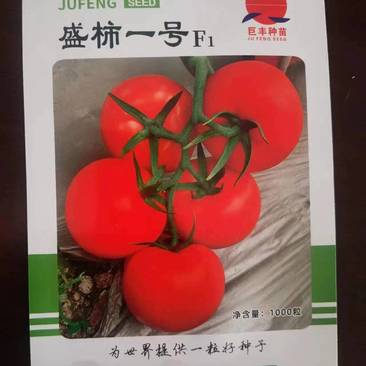 西红柿种子盛柿一号种子货源充足量大从优质量保证欢迎咨询