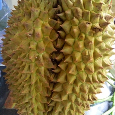 榴莲，山竹