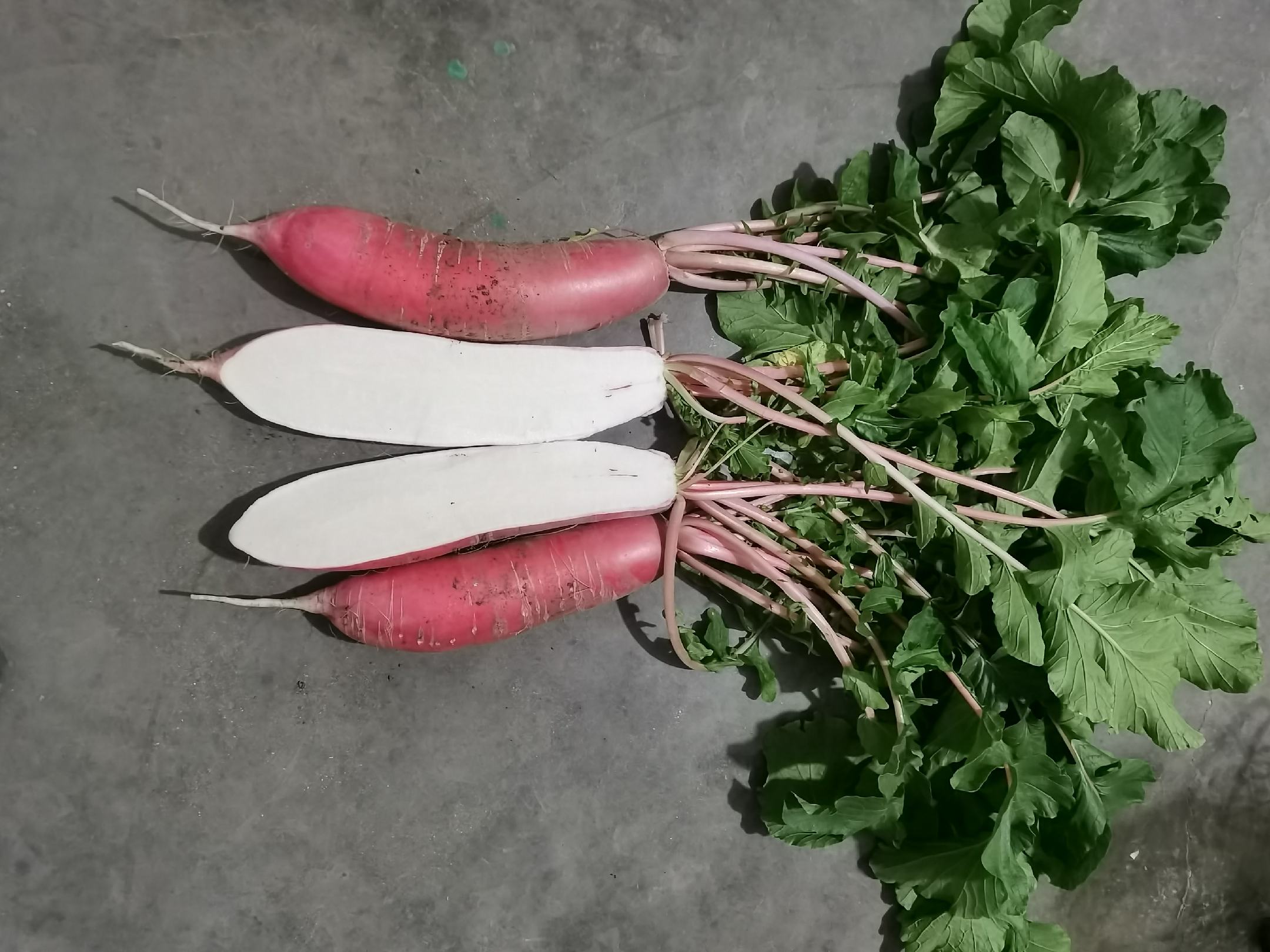 胡萝卜与芹菜叶子对比