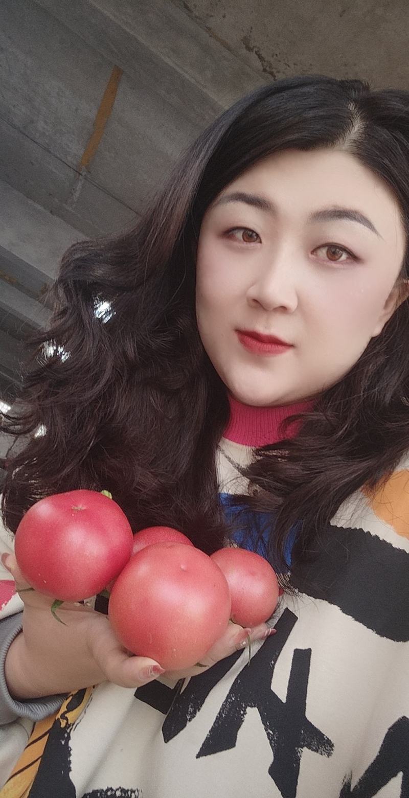 {优选}费县硬粉西红柿，暖棚硬粉果型好，硬度高耐运输，产