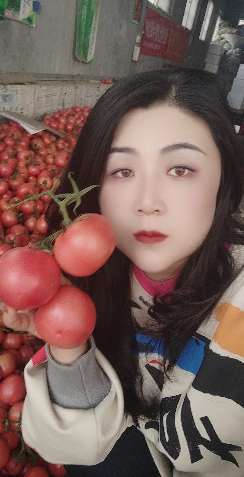 {优选}费县硬粉西红柿，暖棚硬粉果型好，硬度高耐运输，产