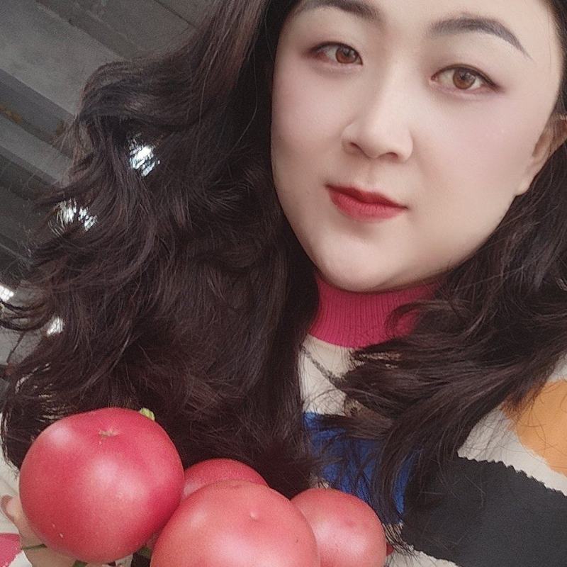 {优选}费县硬粉西红柿，暖棚硬粉果型好，硬度高耐运输，产