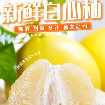白心柚