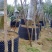 阻根板植树控根器盆景排水透气控黑色围树板园林绿化美观围树