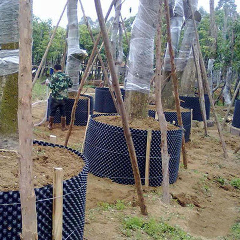 阻根板植树控根器盆景排水透气控黑色围树板园林绿化美观围树