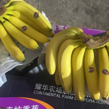 大连三十里堡