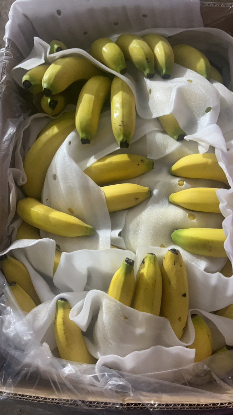 大连三十里堡