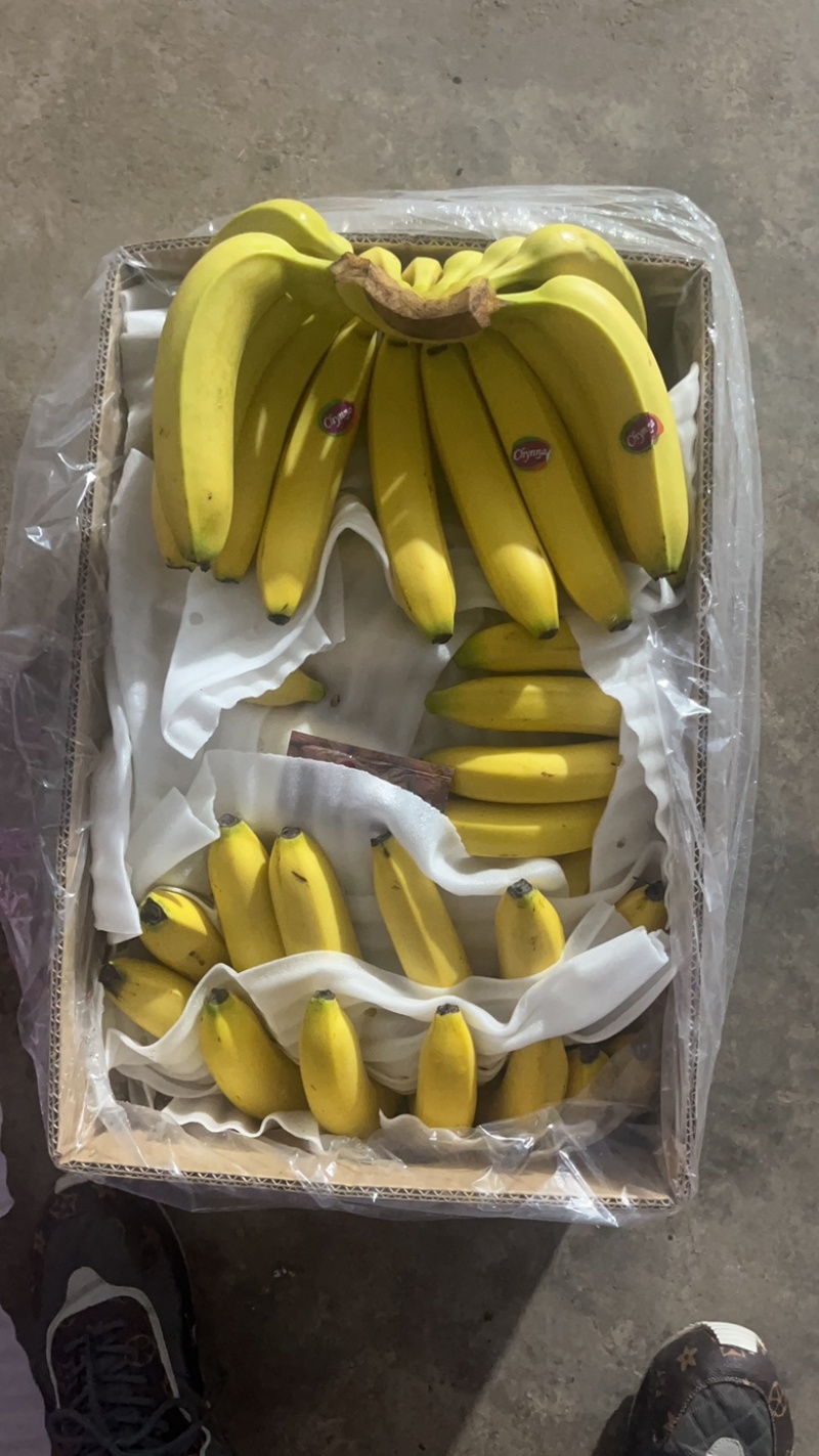 大连三十里堡