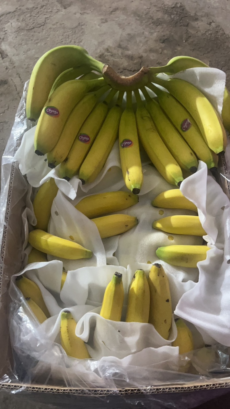 大连三十里堡