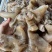 山东【熟牛蹄筋】去骨熟牛蹄，一手货源，诚信经营。