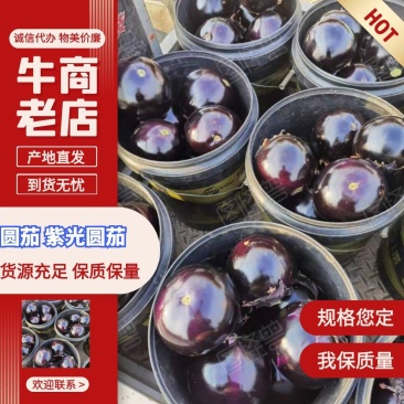 河北紫光圆茄，黑亮个头匀实，一手货源，货源充足，交通便利