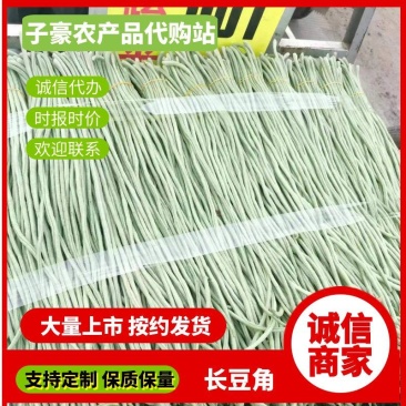 河北精品豆角，70以上，细长直，大量供应各大市场，电商，