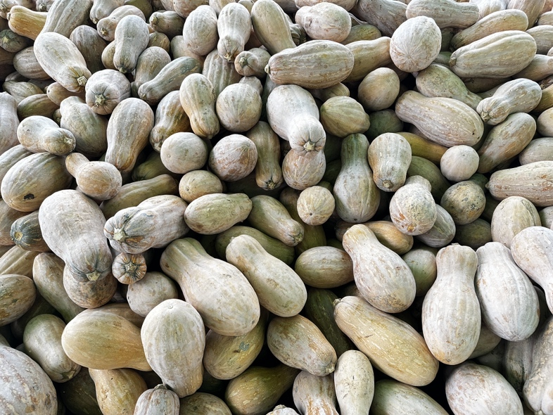 一碗南瓜黄瓜炖汤成品,呈现温暖金黄色,搭配香葱点缀 南瓜黄瓜炖汤成品图