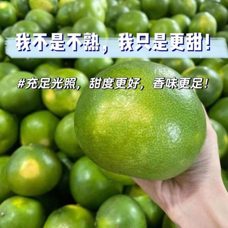 云南2000吨葡萄柚大量上市，欢迎各大电商老板对接