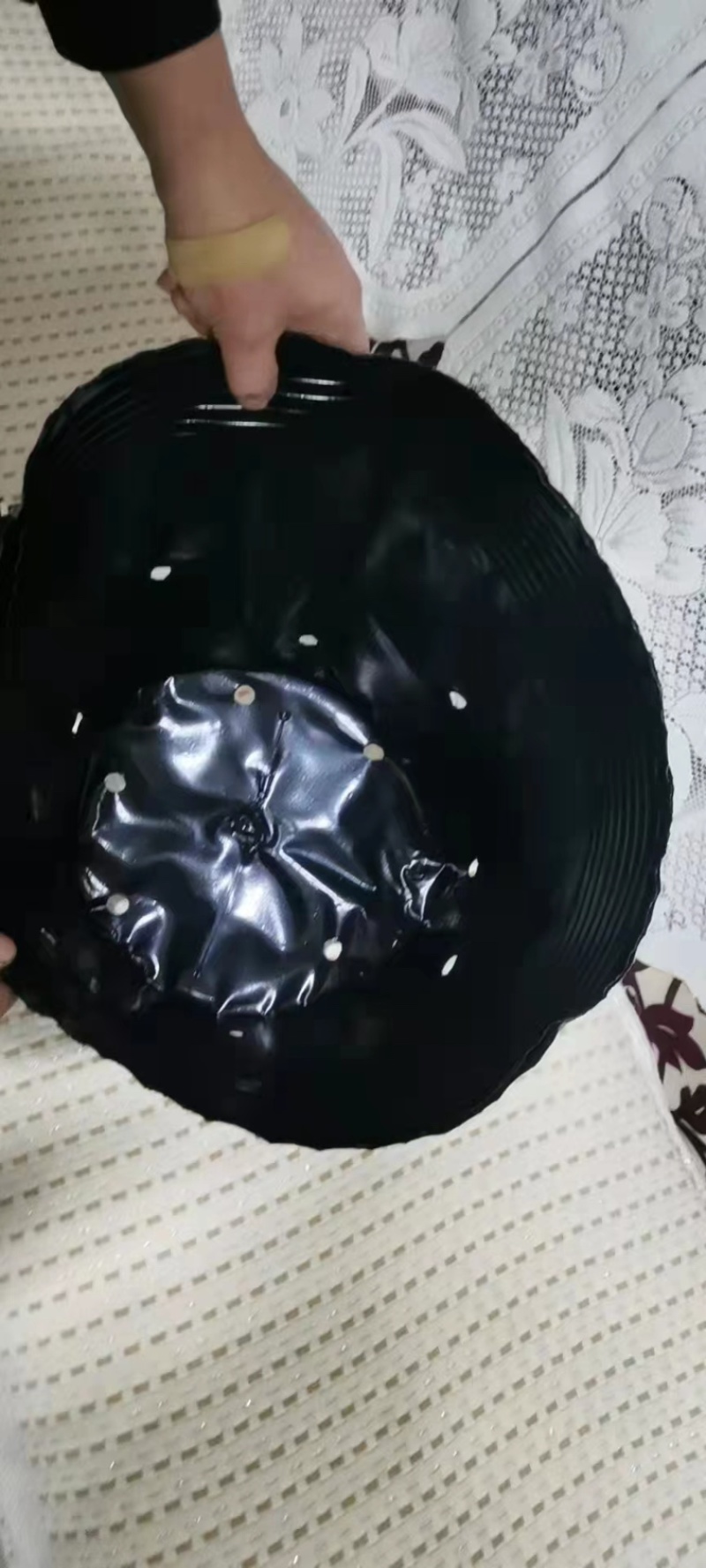 50×50营养钵150个，加厚黑色育苗杯