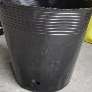 50×50营养钵150个，加厚黑色育苗杯