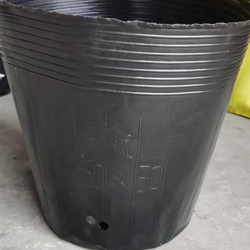 50×50营养钵150个，加厚黑色育苗杯