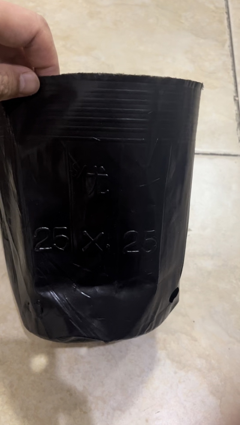 25×25营养钵1000个，营养钵营养杯加厚一次性育苗袋