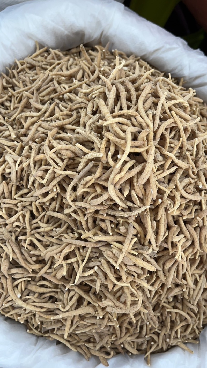 优质太子参，贵州孩儿参，新货过筛货干，一手货源保质无硫