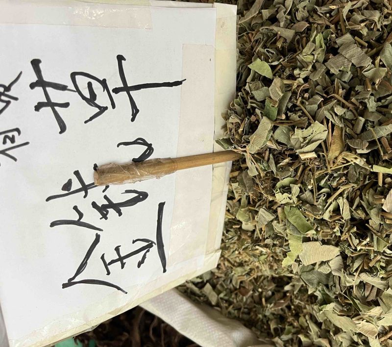 金钱草