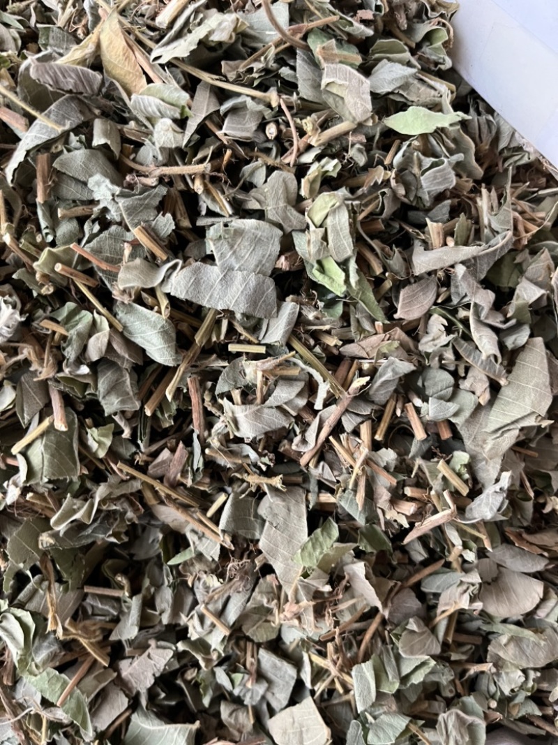 金钱草