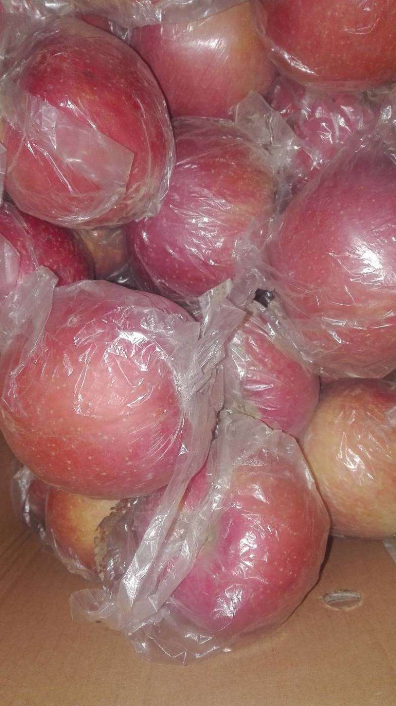 膜袋红富士苹果价格