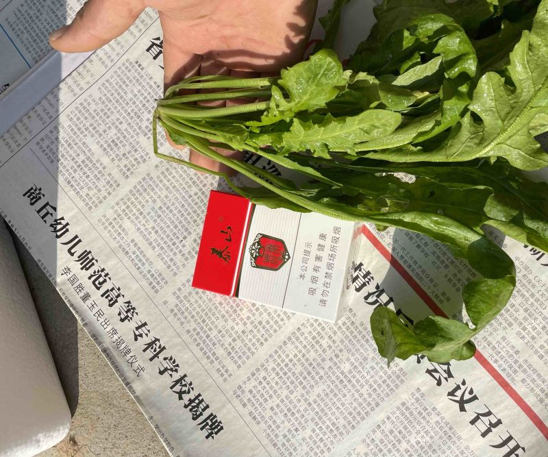 大叶荠菜，价格合适