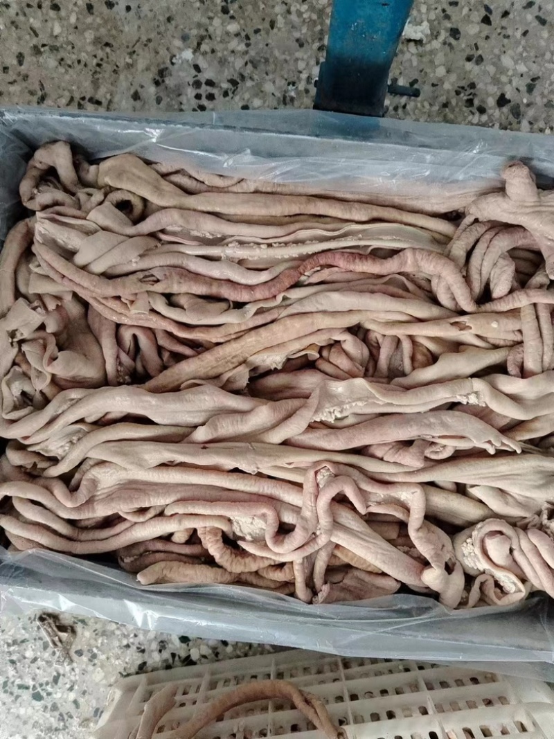 山东去油牛小肠，厂家直销，质量保证，批发零售