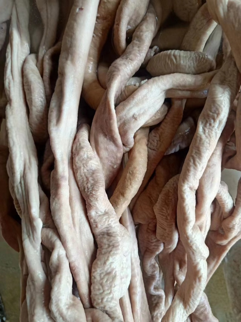 山东去油牛小肠，厂家直销，质量保证，批发零售