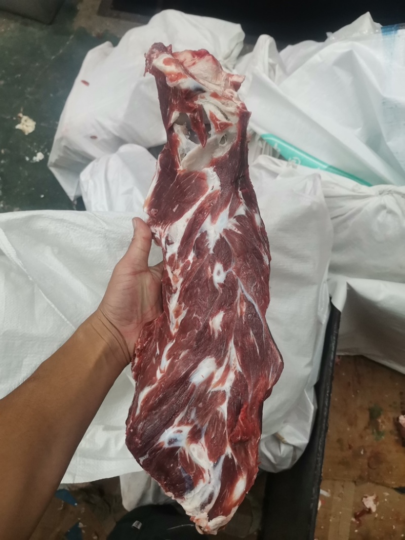 山东国产纯满肉牛脖骨，供应对接全国，欢迎来电