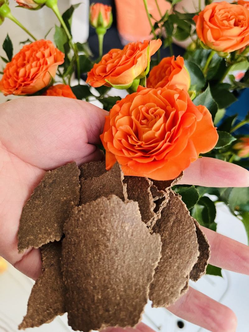 薄片儿花生饼，味儿香，养殖增肥，种植育肥