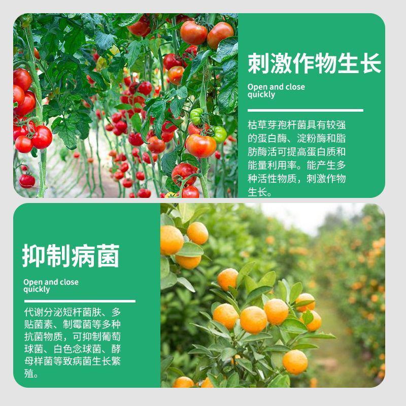 正品菌立清蔬菜果树大田通用型菌剂真菌细菌病毒杀菌克菌微生