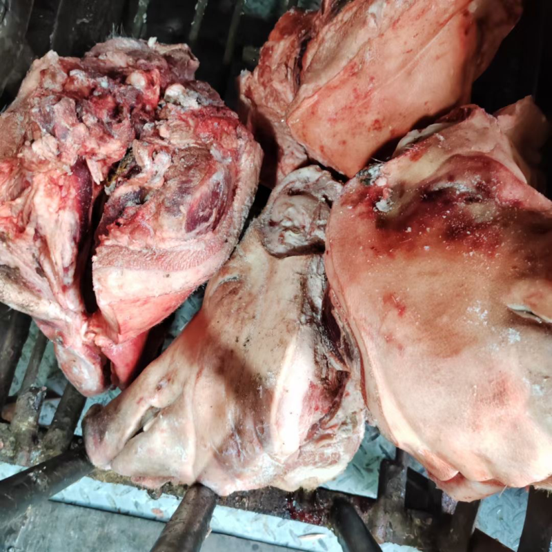 母猪二级无耳头，2元一斤，需要的老板联系