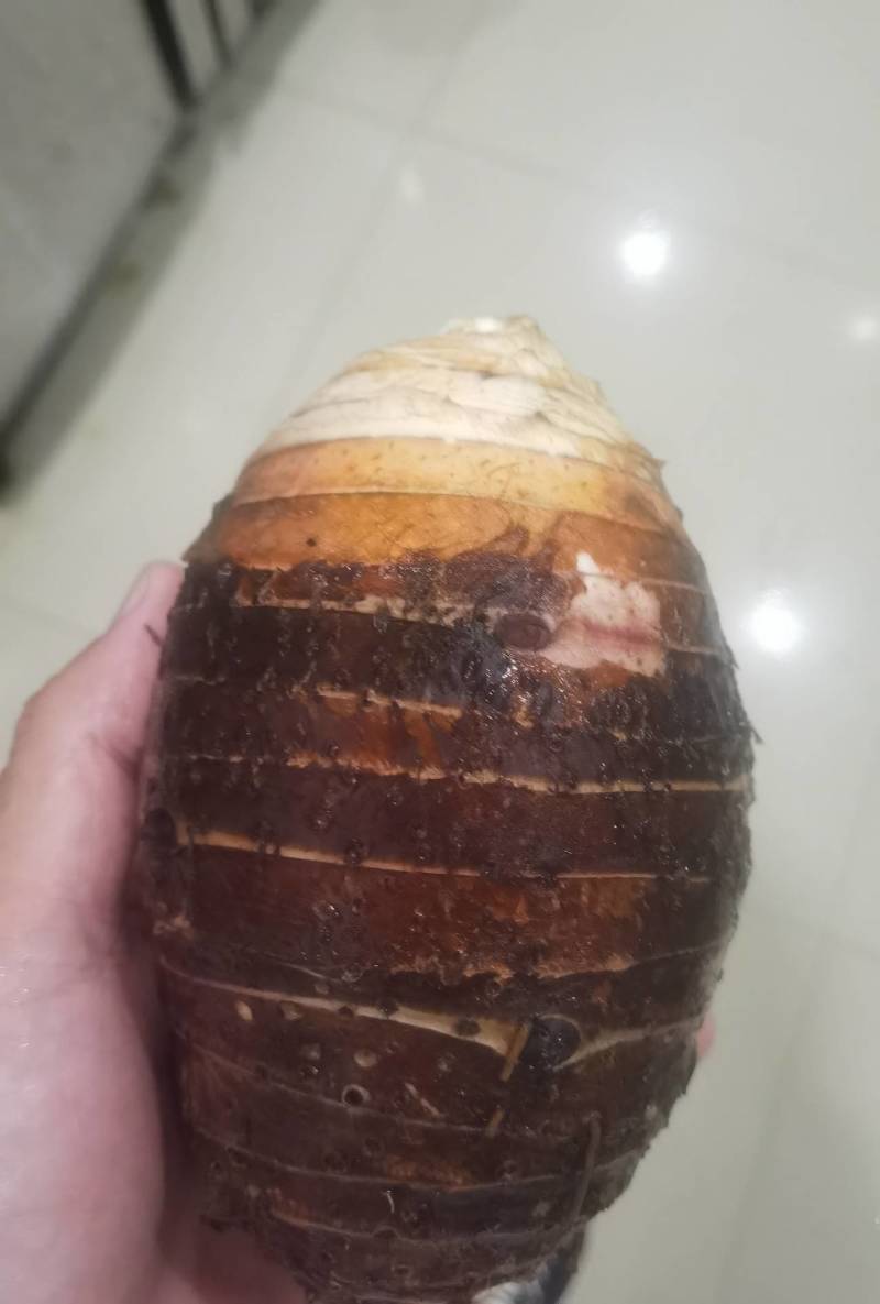 广西香芋荔浦芋头一手货源/对接电商/市场/大型商超