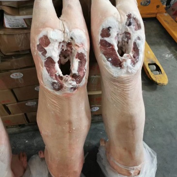 羊肉羊酮体整只羊品种好带皮不带皮都有现货