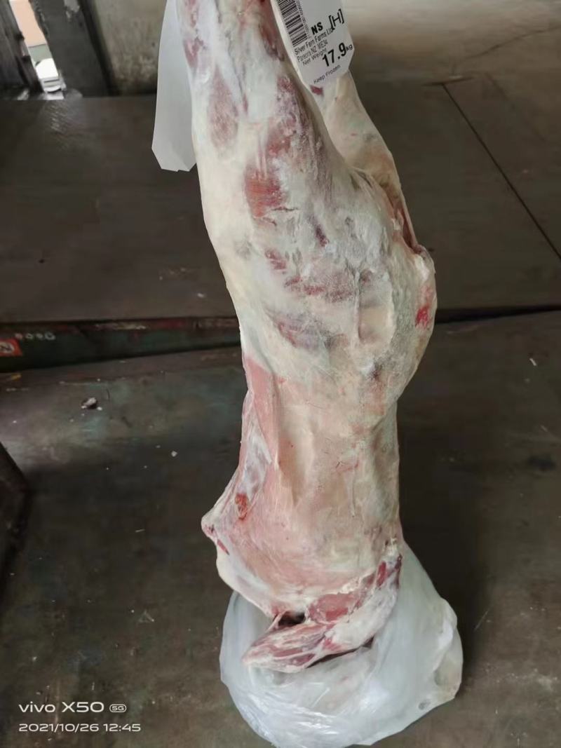 羊肉羊酮体整只羊品种好带皮不带皮都有现货