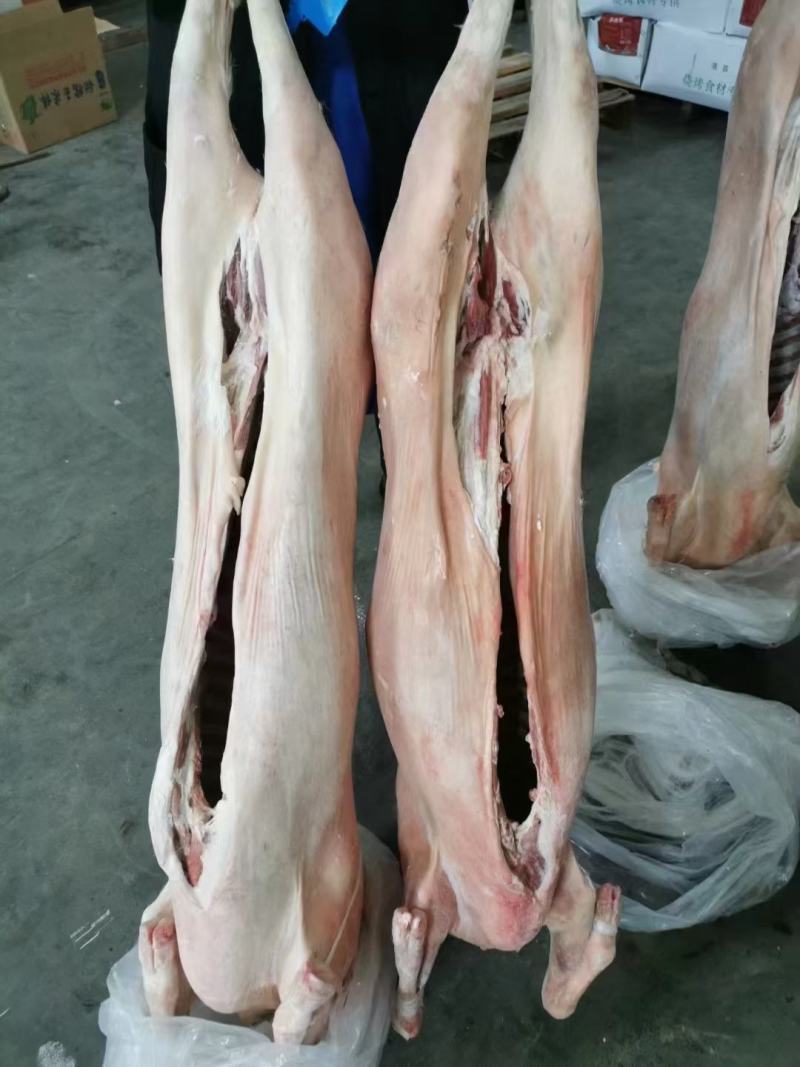 羊肉羊酮体整只羊品种好带皮不带皮都有现货