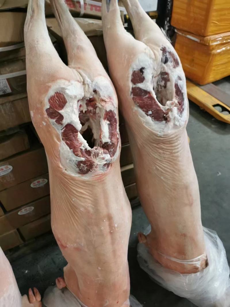 羊肉羊酮体整只羊品种好带皮不带皮都有现货