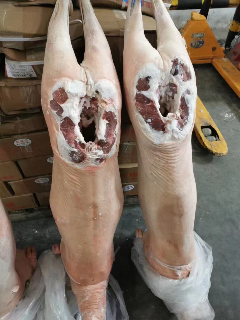 羊肉羊酮体整只羊品种好带皮不带皮都有现货