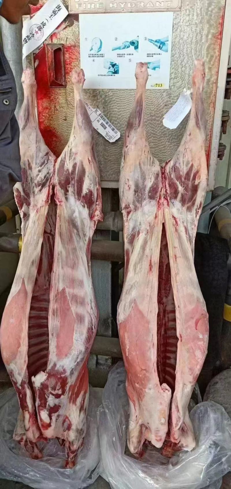 羊肉羊酮体整只羊品种好带皮不带皮都有现货